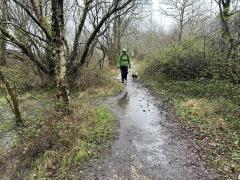 No respite from the rain